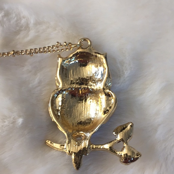 3/$15 faux gold gray owl necklace. NWT. - Picture 6 of 6